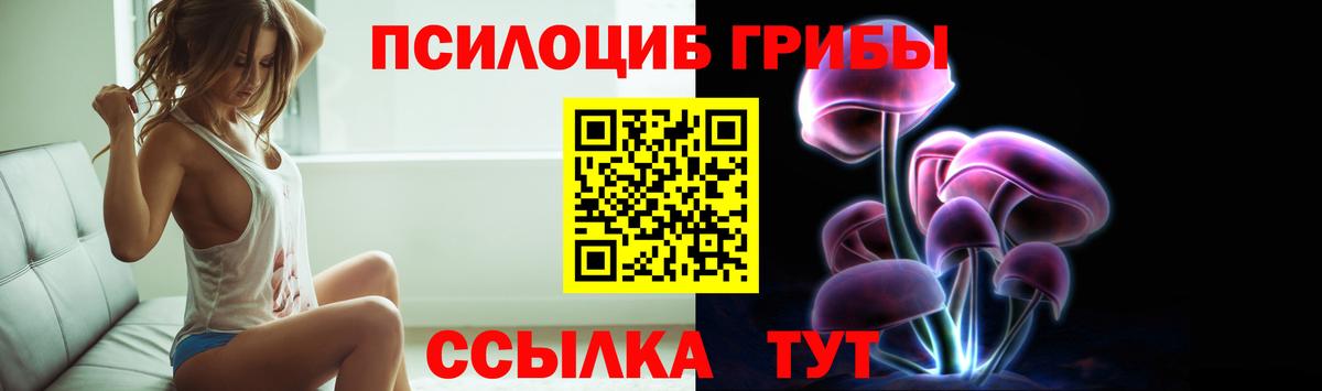 Псилоцибиновые грибы Cubensis  купить наркотики сайты  Тавда  Вход с VPN 