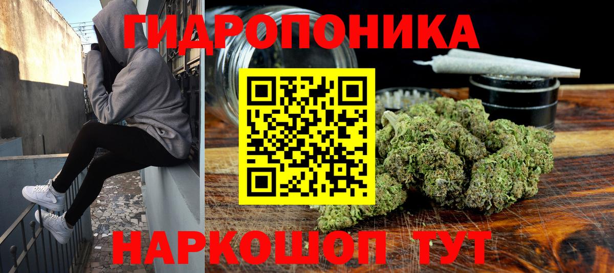 Марихуана конопля Тавда